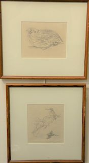 Louis Agassiz Fuertes (1874-1927), 
set of four pencil on paper sketches, 
(1) bird perched on limb, 
sight size: 5 3/4" x 5",  
(2)...