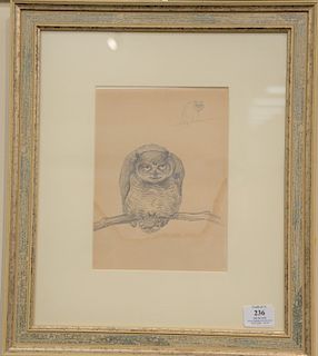 Louis Agassiz Fuertes (1874-1927), 
pencil sketch on paper, 
Owl, 
unsigned, 
sight size: 9 1/2" x 7", 
Provenance: From the Estate ...