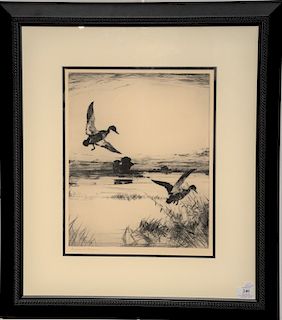 Frank Weston Benson (1862-1951), etching, "Two Black Ducks", signed lower left: Frank W. Benson, sight size 15 3/4" x 12 1/2"
