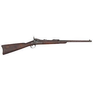 Model 1884 Springfield Carbine