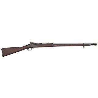 Model 1884 Cadet Rifle