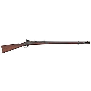 Springfield Model 1879 Rifle