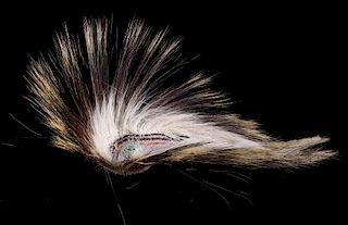 Montana Crow Porcupine Hair Roach Early 1900