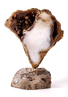 Unique Polished Agatized Coral Geode Display