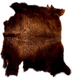 Wild Montana Trophy Buffalo Fur Hide Rug