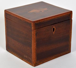 Regency Tea Caddy with Conch Shell Inlay