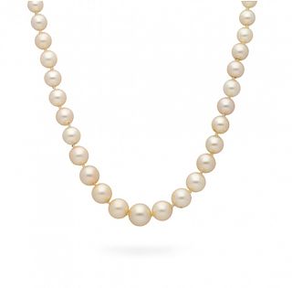 Choker with pearls in gradient  Gargantilla de perlas en degradé