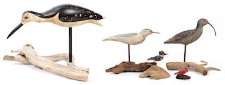 Group of 5 Hand Carved Shore Bird Decoys