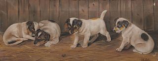 JOHN B. MATHER, (Australian, 1848-1916), Puppies with a Spider