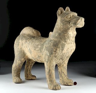Impressive Chinese Han Dynasty Standing Dog