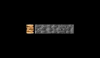 Mesopotamian Cylinder Seal with Fish