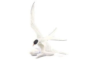 Boehm "Arctic Tern", Signed Porcelain Sculpture