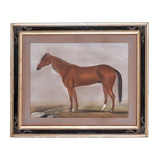 Saddle-Bred Horse and Famed Blind Pacer, "Sleepy Tom" Archive, Featuring Pastel Painting and Records of his Driver, Stephen Phillips