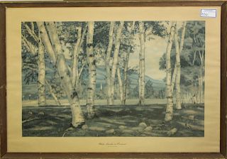Luigi Lucioni White Birches in Vermont print