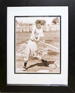 8" x 10" photo Ted Williams