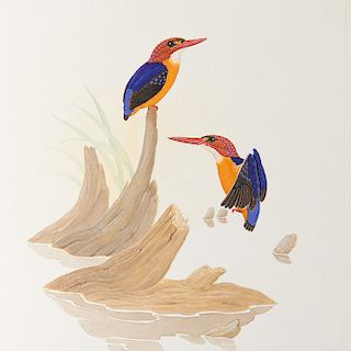 George Sandstrom, ornithological illustration