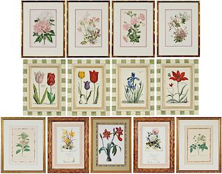 13 Framed Botanical Prints