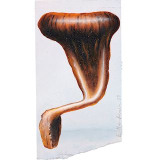 Edward Henderson, Mushroom Pipe, 1989