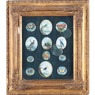 (12) ornithological and butterfly miniatures