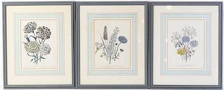 A Set of Three Botanical Prints, Height 10 x width 7 1/2 inches (each).