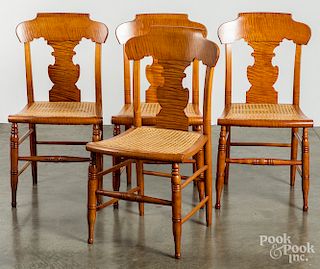 Set of four Sheraton tiger maple dining chairs