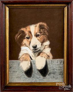 Pastel dog portrait, 12 1/2" x 9 1/4".
