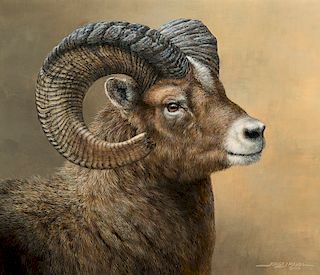 Jorge Mayol (b. 1948), Big Horn Sheep