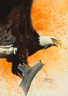 A.J. "Jeanie" McCoy (20th century), Untitled (Bald Eagle Landing)
