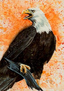 A.J. "Jeanie" McCoy (20th century), Untitled (Bald Eagle Perched on a Branch
