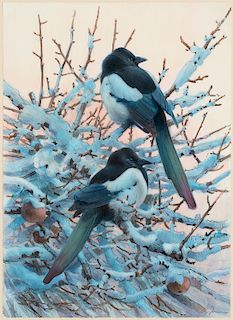 Lars Jonsson (b.1952), Untitled (Two Magpies)