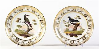A Pair of French Ornithological Cabinet Plates, Diameter 9 inches.