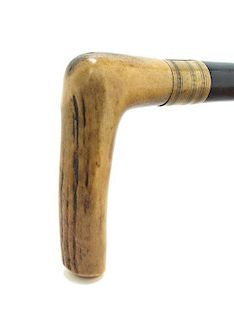 An Ornithological Shooting Cane, Halls, Length of handle 4 3/4 x length overall 35 1/8 inches.