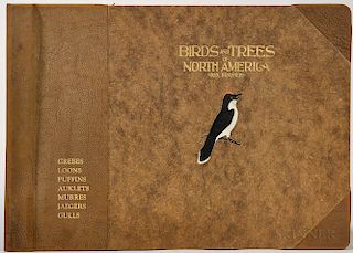 Brasher, Rex (1869-1960) Birds and Trees of North America.