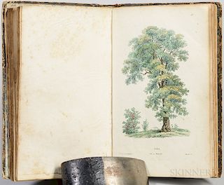 Rousseau, Jean-Jacques (1712-1778) Recueil de Plantes Coloriées.
