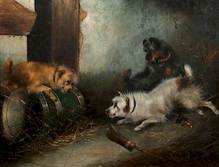 BRITISH PAINTING TERRIERS RATTING F. CASSELL
