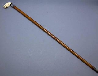 Walking stick with carved ivory handle.
