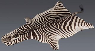 African zebra skin rug.
