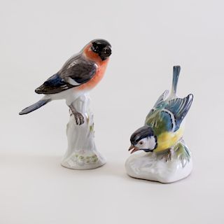 Meissen Porcelain Model of a Red Breasted Finch and a Blue Winged Sparrow