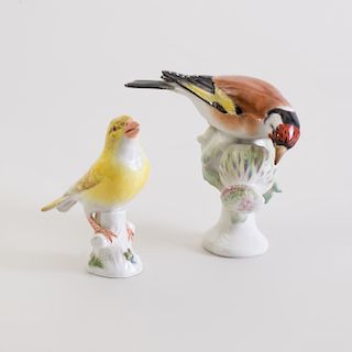 Meissen Porcelain Model of a Canary and a Bird on a Cactus