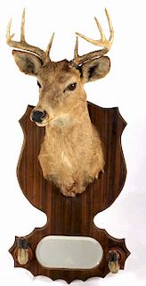 1942 Taxidermy Deer Mount with Hoof Rack & Mirror