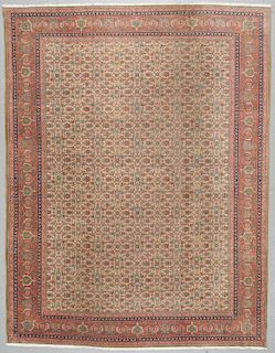 Semi-Antique Tabriz Rug, Persia: 9'1'' x 11'8''