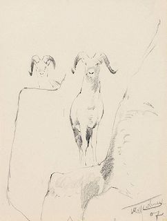 Wilhelm Fredrich Kuhnert 1865 - 1926 | Goats - Front View