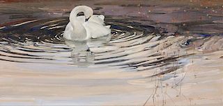 Thomas Quinn b. 1938 | Tundra Swan