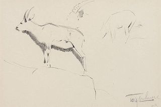 Wilhelm Fredrich Kuhnert 1865 - 1926 | Sheep - Side View