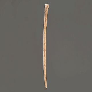A Large Bone Pin, 10-3/4 in.