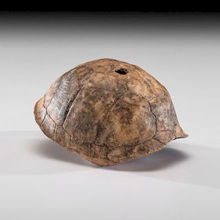 A Turtle Shell Rattle, 4-1/2 in.