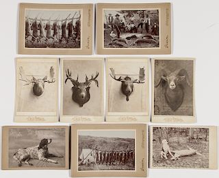 Nine Cabinet Card Photos of Dogs, Taxidermy, and Hunting Scenes, four hunting photographs, four cabinet cards of taxidermy, and a studi