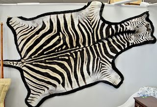 Full zebra skin taxidermy rug, approximately 66" x 115".