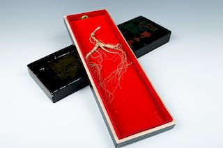 TWO BOXES OF GINSENG