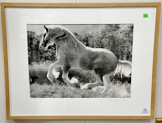 Set of three contemporary western photographs including two of cowboys and one of a horse running, signed lower left illegibly. 13 1...